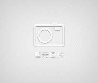 脈沖布袋除塵器